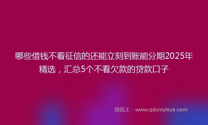 哪些借钱不看征信的还能立刻到账能分期2025年精选，汇总5个不看欠款的贷款口子