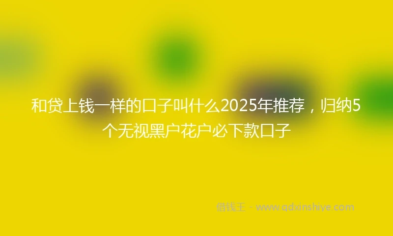 和贷上钱一样的口子叫什么2025年推荐，归纳5个无视黑户花户必下款口子