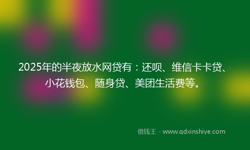 2025年的半夜放水网贷有：还呗、维信卡卡贷、小花钱包、随身贷、美团生活费等。