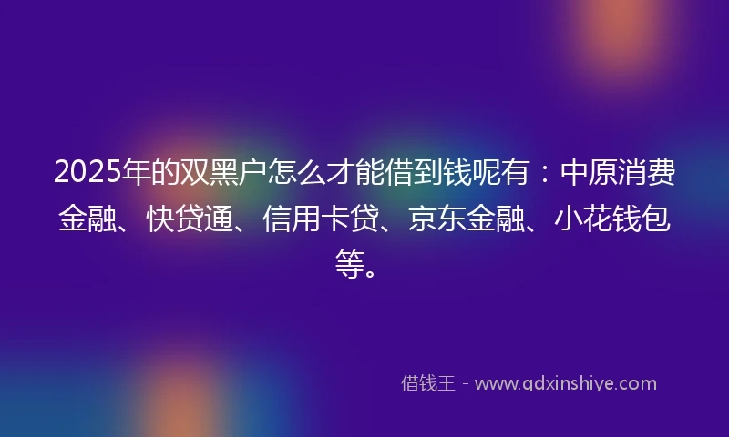 2025年的双黑户怎么才能借到钱呢有：中原消费金融、快贷通、信用卡贷、京东金融、小花钱包等。