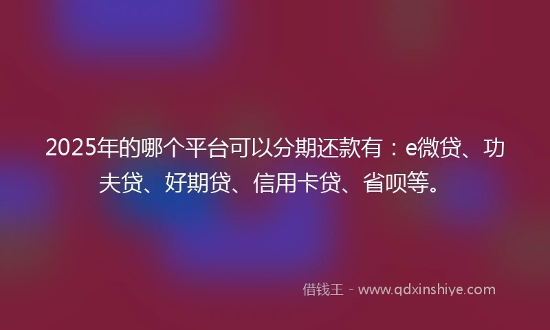 2025年的哪个平台可以分期还款有：e微贷、功夫贷、好期贷、信用卡贷、省呗等。