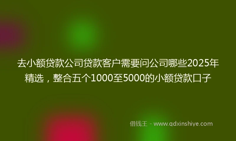 去小额贷款公司贷款客户需要问公司哪些2025年精选，整合五个1000至5000的小额贷款口子