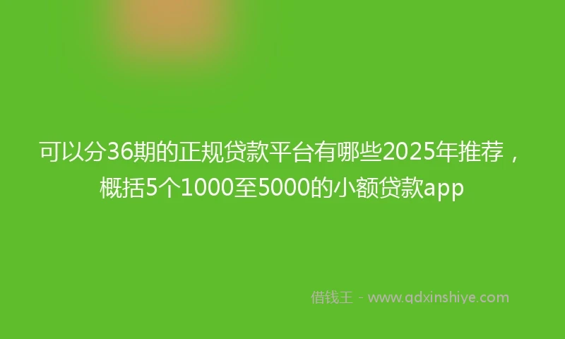 可以分36期的正规贷款平台有哪些2025年推荐，概括5个1000至5000的小额贷款app
