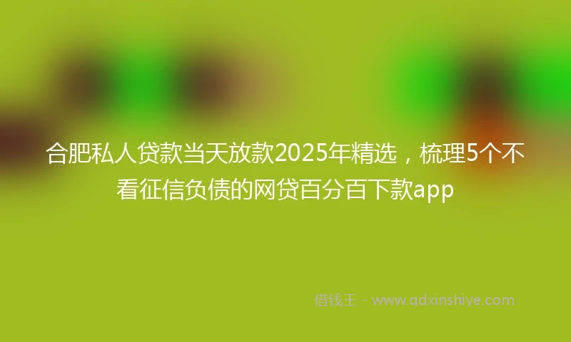 合肥私人贷款当天放款2025年精选，梳理5个不看征信负债的网贷百分百下款app