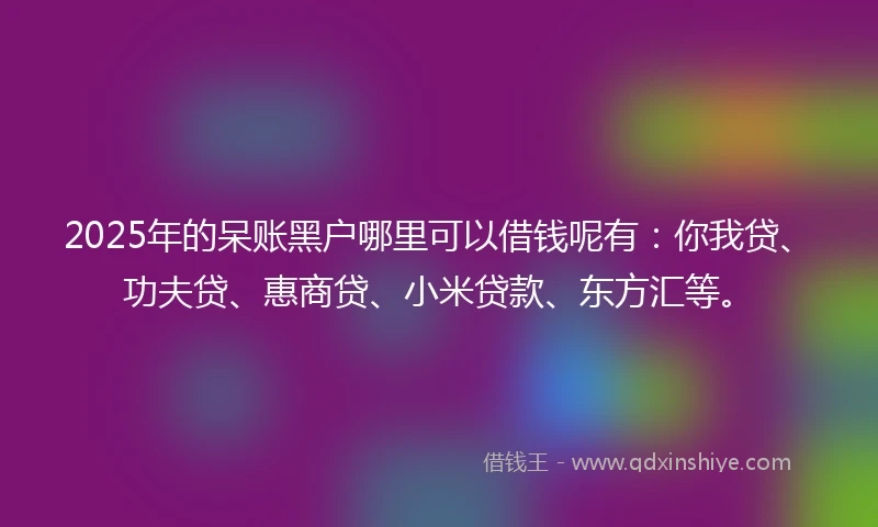 2025年的呆账黑户哪里可以借钱呢有：你我贷、功夫贷、惠商贷、小米贷款、东方汇等。