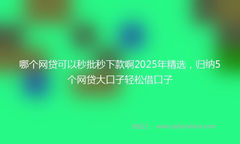 哪个网贷可以秒批秒下款啊2025年精选，归纳5个网贷大口子轻松借口子