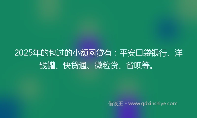 2025年的包过的小额网贷有：平安口袋银行、洋钱罐、快贷通、微粒贷、省呗等。