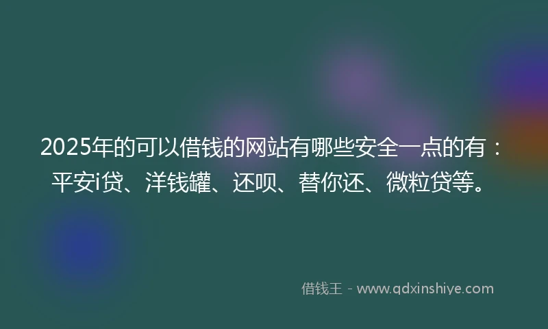 2025年的可以借钱的网站有哪些安全一点的有：平安i贷、洋钱罐、还呗、替你还、微粒贷等。