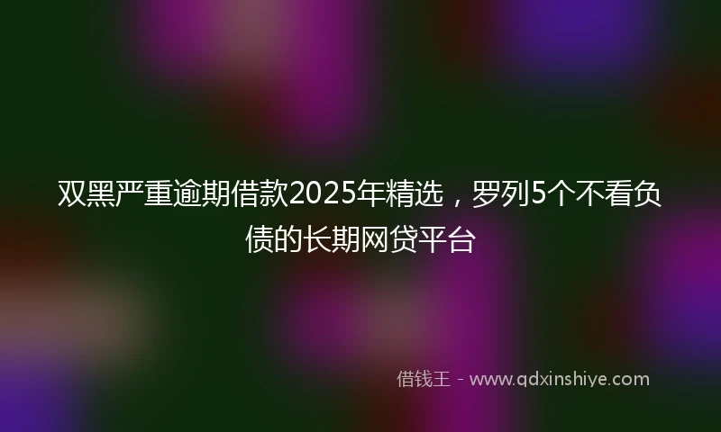 双黑严重逾期借款2025年精选，罗列5个不看负债的长期网贷平台