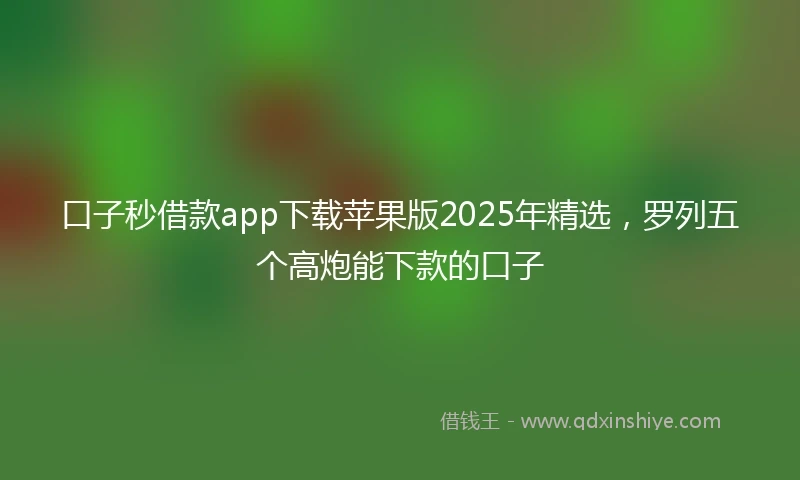 口子秒借款app下载苹果版2025年精选，罗列五个高炮能下款的口子