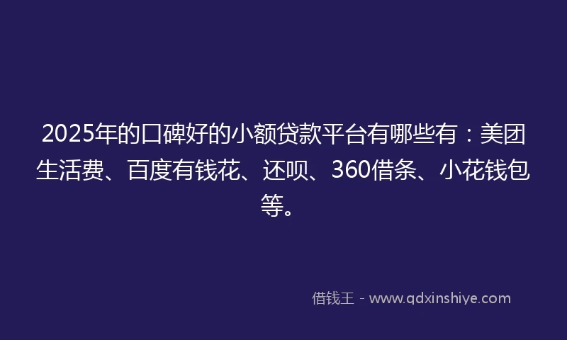 2025年的口碑好的小额贷款平台有哪些有：美团生活费、百度有钱花、还呗、360借条、小花钱包等。