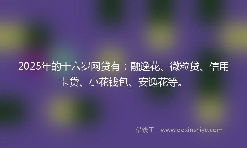 2025年的十六岁网贷有：融逸花、微粒贷、信用卡贷、小花钱包、安逸花等。
