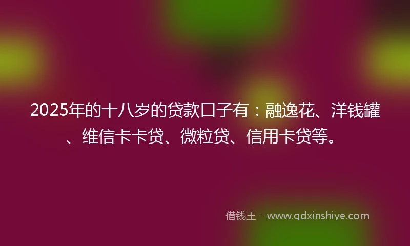 2025年的十八岁的贷款口子有：融逸花、洋钱罐、维信卡卡贷、微粒贷、信用卡贷等。