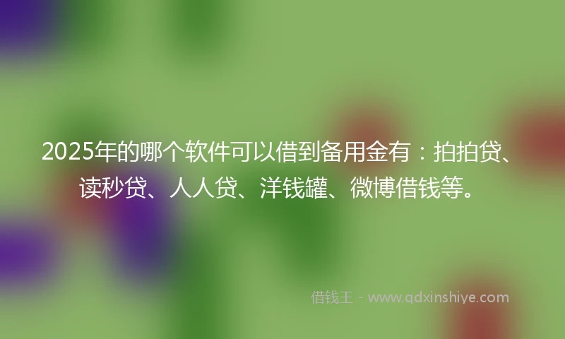 2025年的哪个软件可以借到备用金有：拍拍贷、读秒贷、人人贷、洋钱罐、微博借钱等。