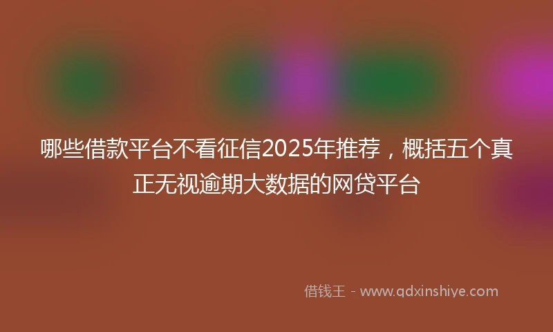 哪些借款平台不看征信2025年推荐，概括五个真正无视逾期大数据的网贷平台