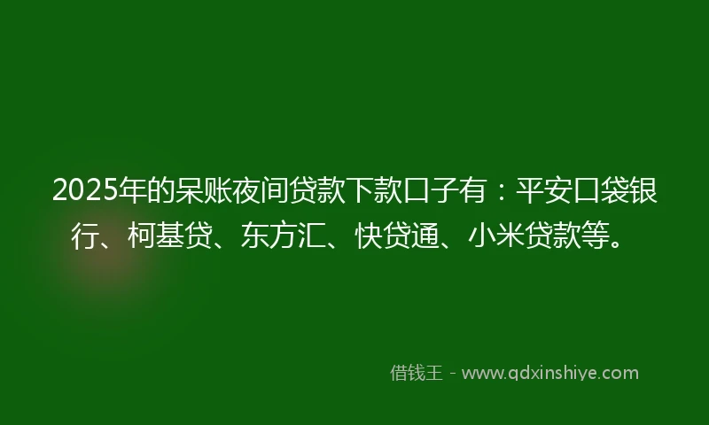 2025年的呆账夜间贷款下款口子有：平安口袋银行、柯基贷、东方汇、快贷通、小米贷款等。