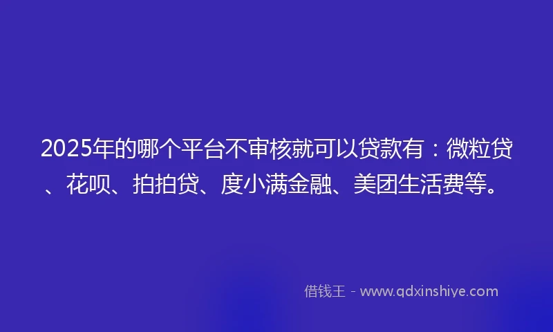 2025年的哪个平台不审核就可以贷款有：微粒贷、花呗、拍拍贷、度小满金融、美团生活费等。