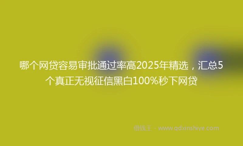 哪个网贷容易审批通过率高2025年精选，汇总5个真正无视征信黑白100%秒下网贷
