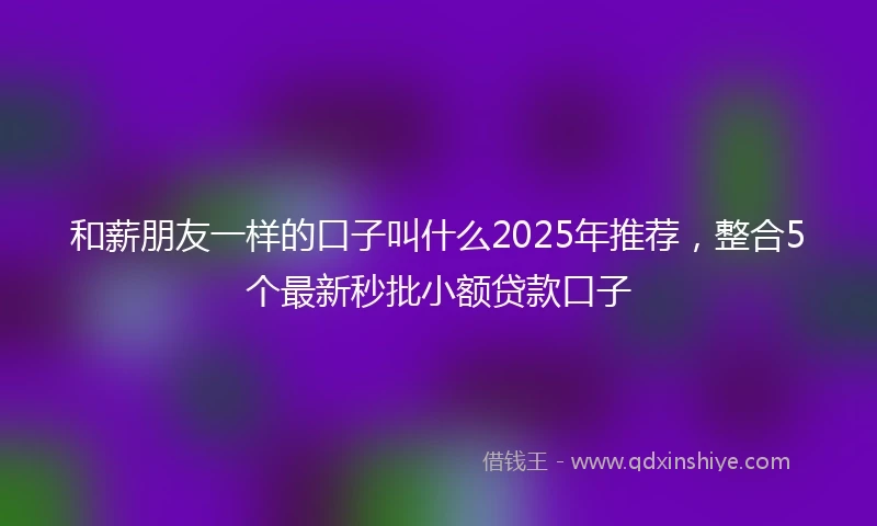 和薪朋友一样的口子叫什么2025年推荐，整合5个最新秒批小额贷款口子