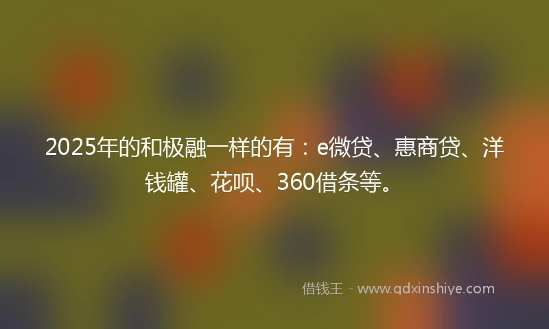 2025年的和极融一样的有：e微贷、惠商贷、洋钱罐、花呗、360借条等。