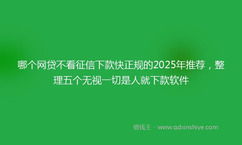 哪个网贷不看征信下款快正规的2025年推荐，整理五个无视一切是人就下款软件