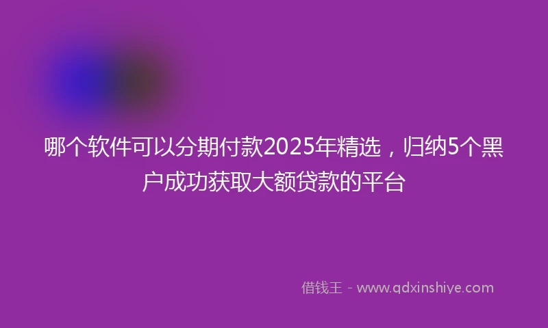 哪个软件可以分期付款2025年精选，归纳5个黑户成功获取大额贷款的平台
