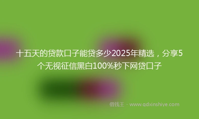 十五天的贷款口子能贷多少2025年精选，分享5个无视征信黑白100%秒下网贷口子