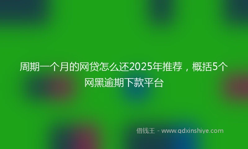 周期一个月的网贷怎么还2025年推荐，概括5个网黑逾期下款平台