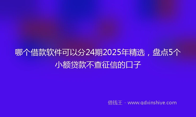 哪个借款软件可以分24期2025年精选，盘点5个小额贷款不查征信的口子