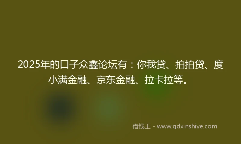 2025年的口子众鑫论坛有：你我贷、拍拍贷、度小满金融、京东金融、拉卡拉等。
