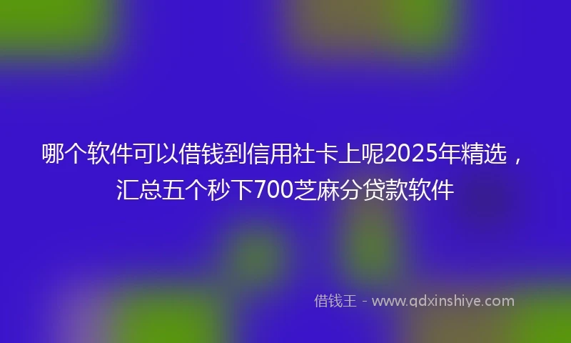 哪个软件可以借钱到信用社卡上呢2025年精选，汇总五个秒下700芝麻分贷款软件