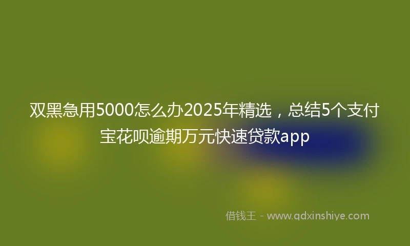 双黑急用5000怎么办2025年精选，总结5个支付宝花呗逾期万元快速贷款app