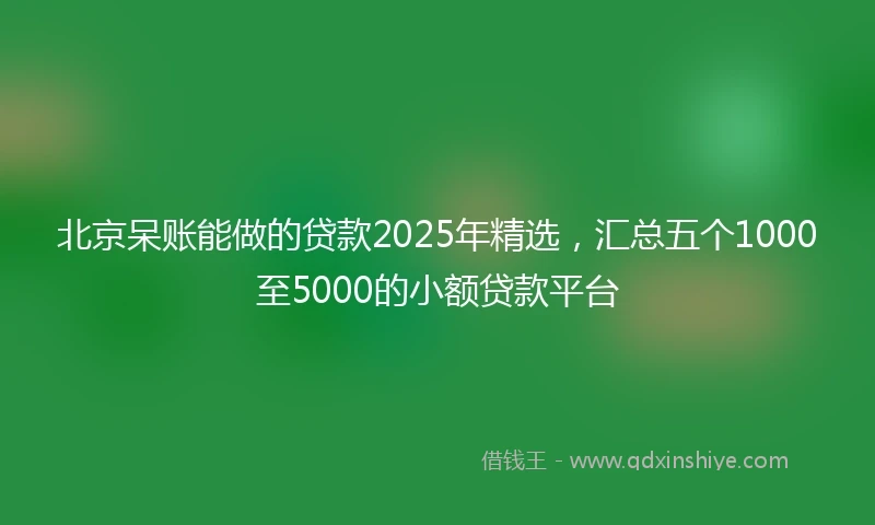 北京呆账能做的贷款2025年精选，汇总五个1000至5000的小额贷款平台