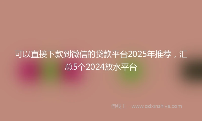 可以直接下款到微信的贷款平台2025年推荐，汇总5个2024放水平台