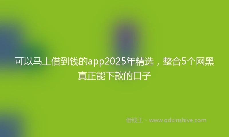可以马上借到钱的app2025年精选，整合5个网黑真正能下款的口子