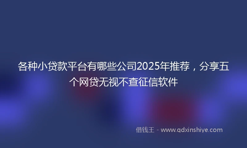 各种小贷款平台有哪些公司2025年推荐,分享五个网贷无视不查征信软件