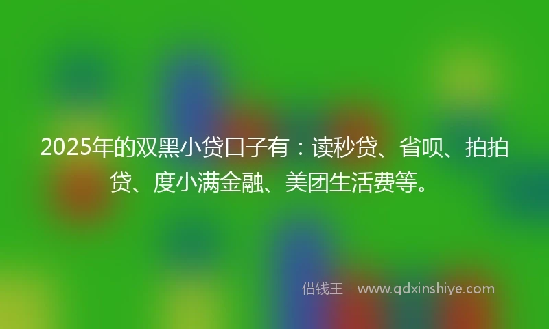 2025年的双黑小贷口子有：读秒贷、省呗、拍拍贷、度小满金融、美团生活费等。