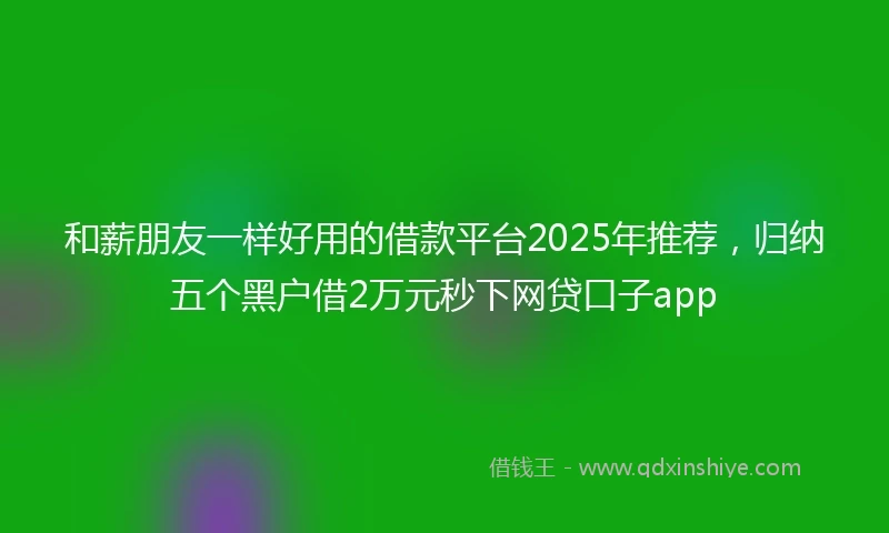 和薪朋友一样好用的借款平台2025年推荐，归纳五个黑户借2万元秒下网贷口子app