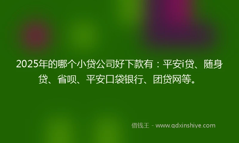 2025年的哪个小贷公司好下款有：平安i贷、随身贷、省呗、平安口袋银行、团贷网等。