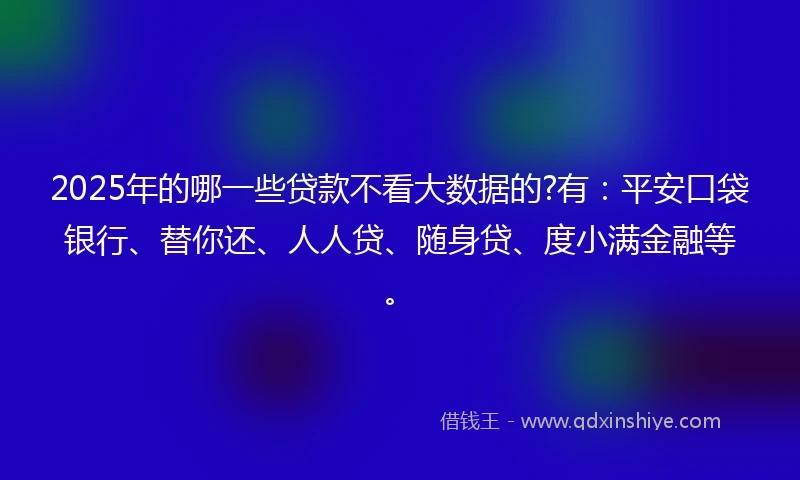 2025年的哪一些贷款不看大数据的?有：平安口袋银行、替你还、人人贷、随身贷、度小满金融等。