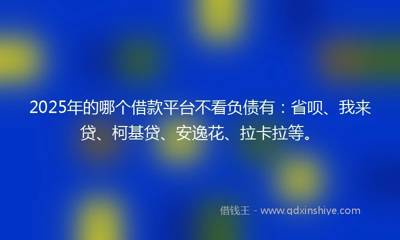 2025年的哪个借款平台不看负债有：省呗、我来贷、柯基贷、安逸花、拉卡拉等。