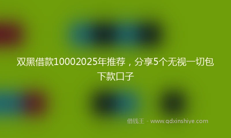 双黑借款10002025年推荐,分享5个无视一切包下款口子