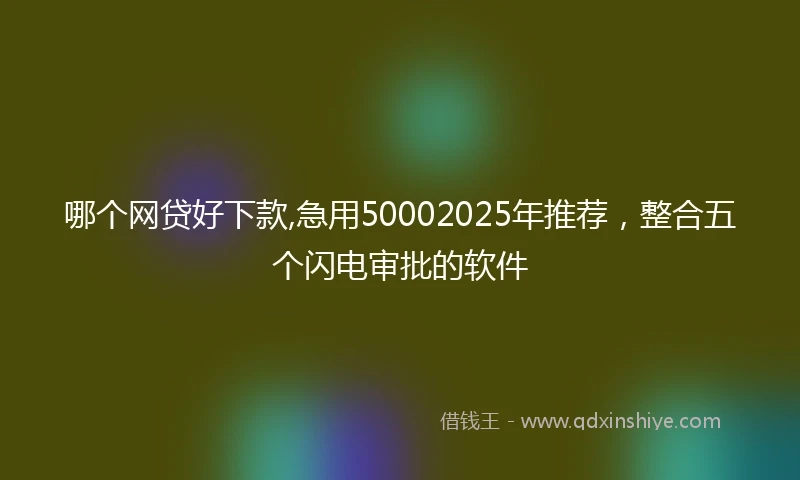 哪个网贷好下款,急用50002025年推荐，整合五个闪电审批的软件