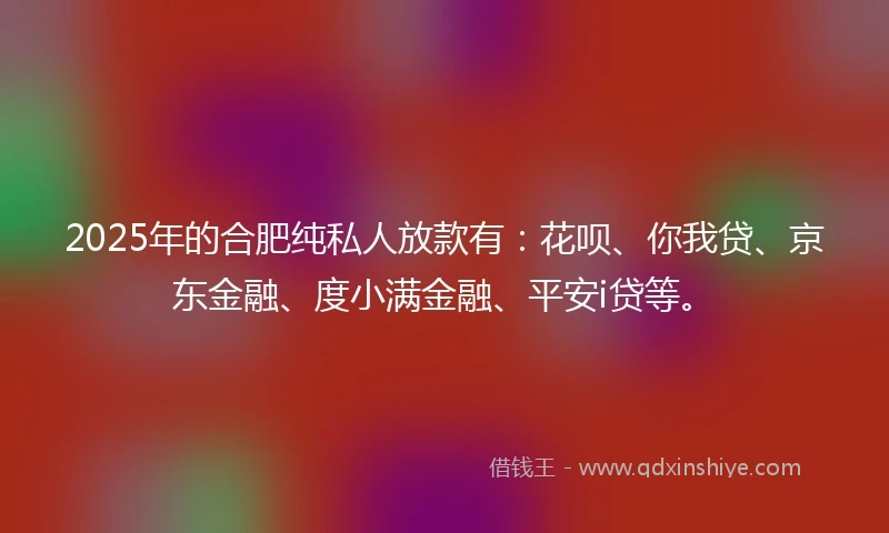 2025年的合肥纯私人放款有：花呗、你我贷、京东金融、度小满金融、平安i贷等。