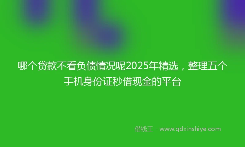 哪个贷款不看负债情况呢2025年精选，整理五个手机身份证秒借现金的平台