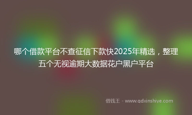哪个借款平台不查征信下款快2025年精选，整理五个无视逾期大数据花户黑户平台