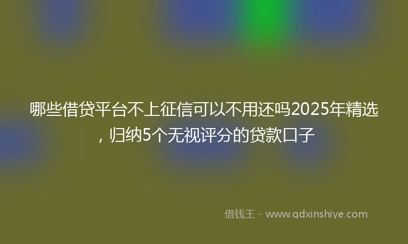 哪些借贷平台不上征信可以不用还吗2025年精选，归纳5个无视评分的贷款口子