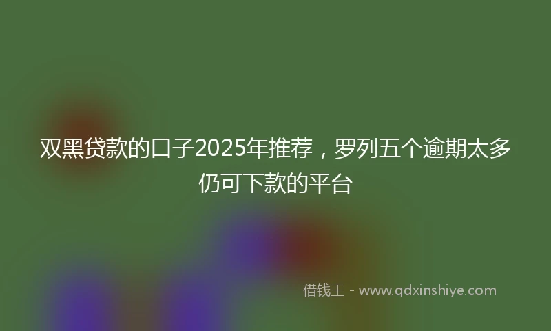 双黑贷款的口子2025年推荐，罗列五个逾期太多仍可下款的平台