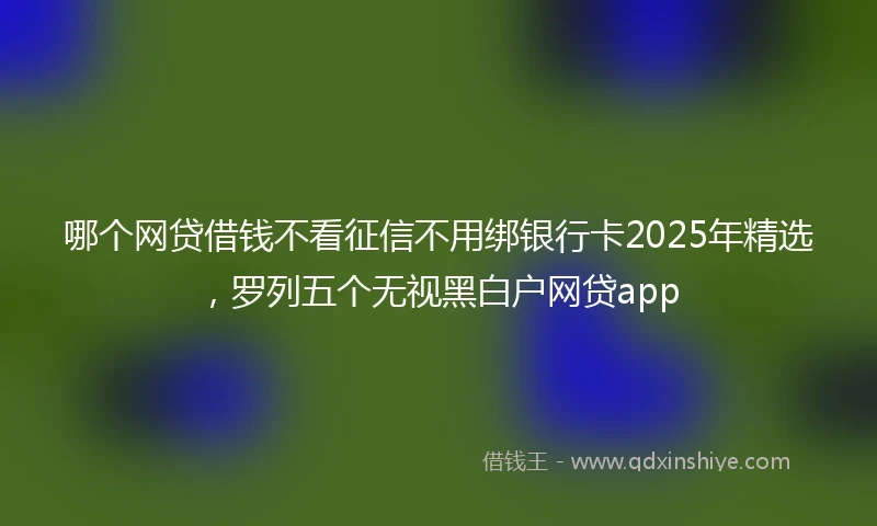哪个网贷借钱不看征信不用绑银行卡2025年精选，罗列五个无视黑白户网贷app