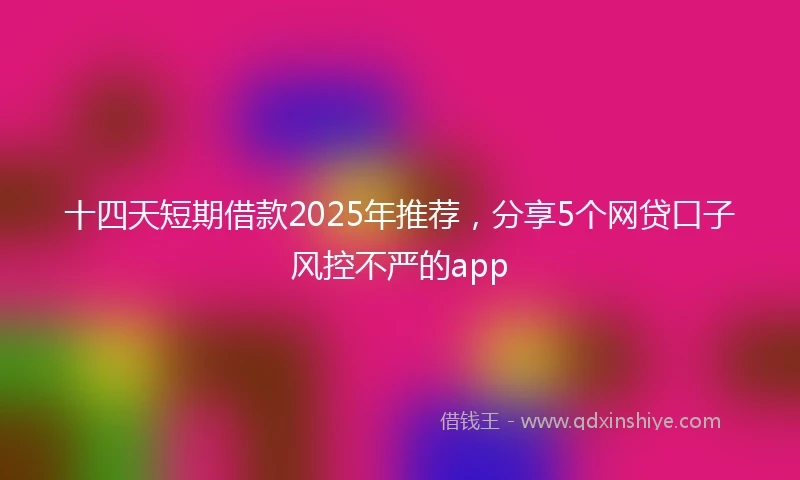 十四天短期借款2025年推荐，分享5个网贷口子风控不严的app